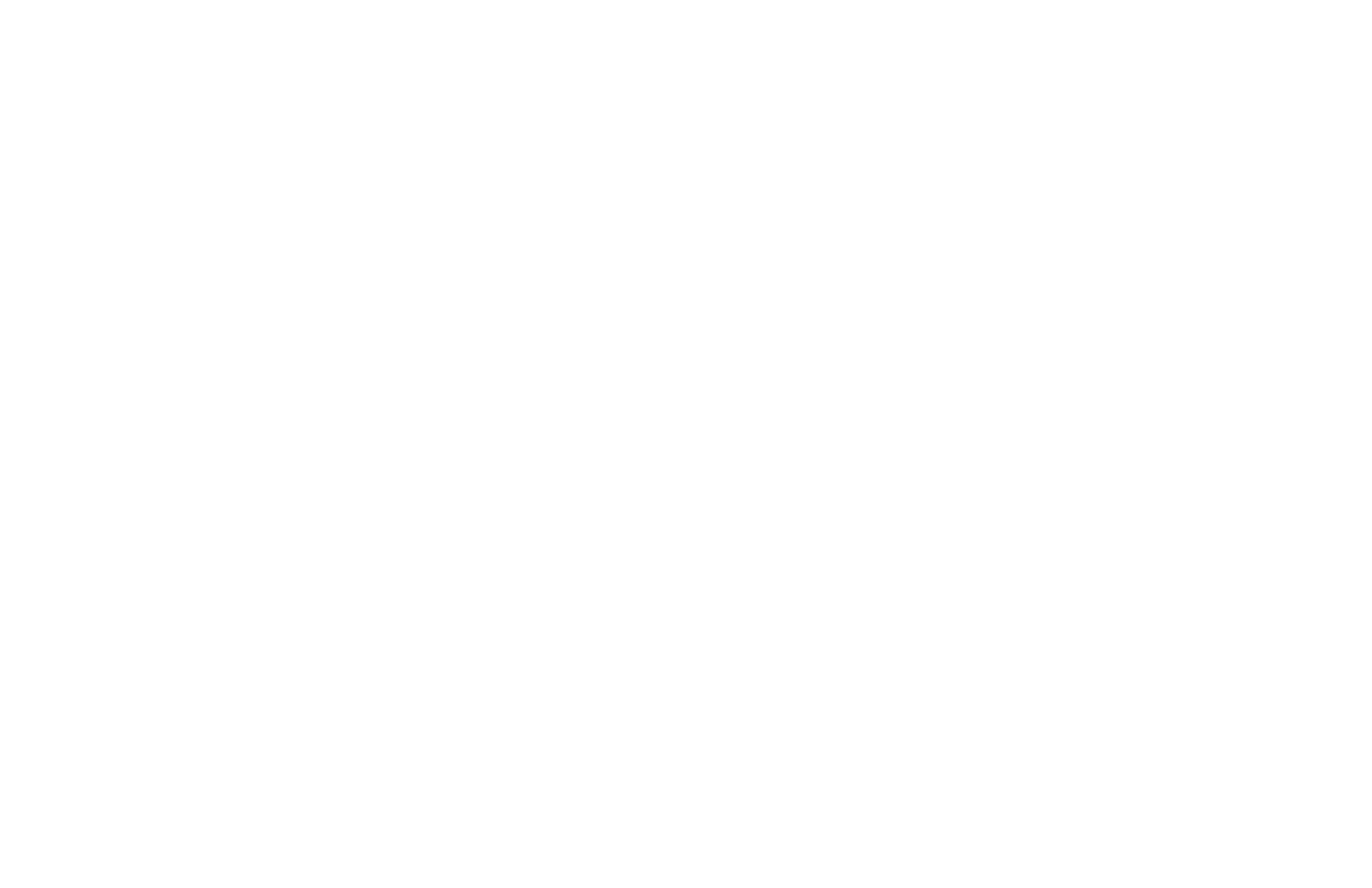 Zestine Logo